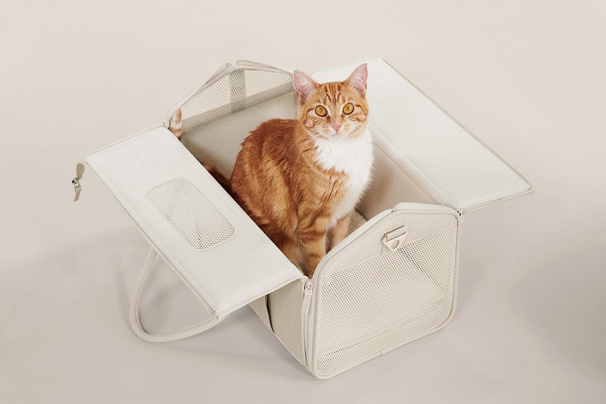 Airline Approved Porto Canvas Cat Carrier