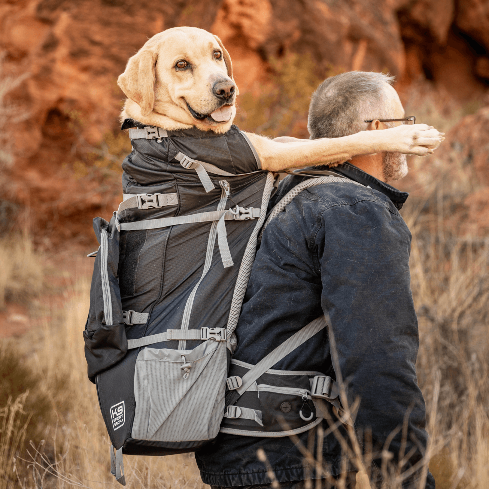 backpack for dog hiking 40 pound Kolossus | Big Carrier & Backpacking Pack Spacious compartments are provided for water Kolossus | Big Dog Carrier