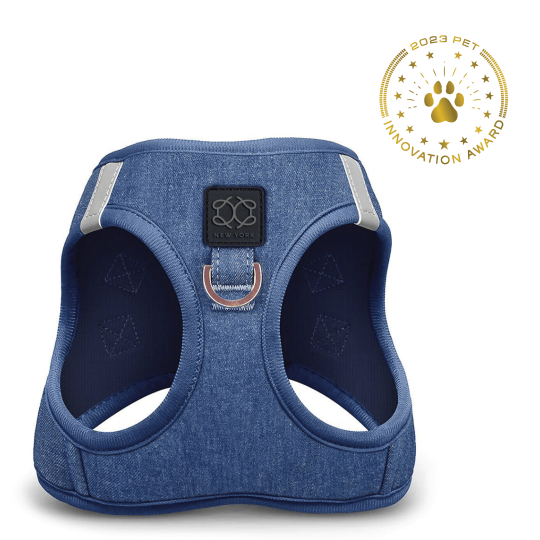 Blue dog harness with a visible brand logo on a white background, featuring a gold paw print award badge.
