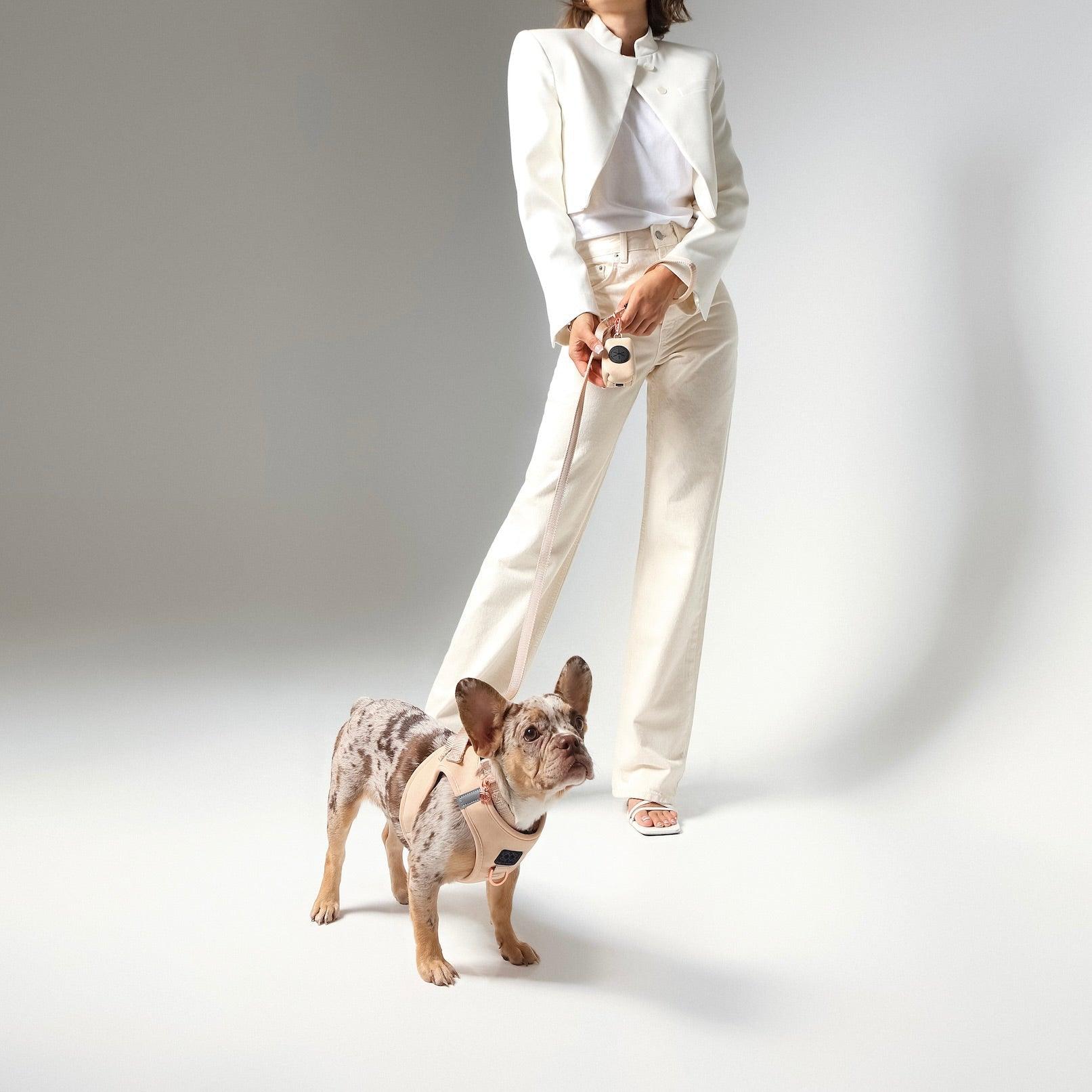 No-Pull, Step-In SoHo Dog Harness For Small Dogs - Dune