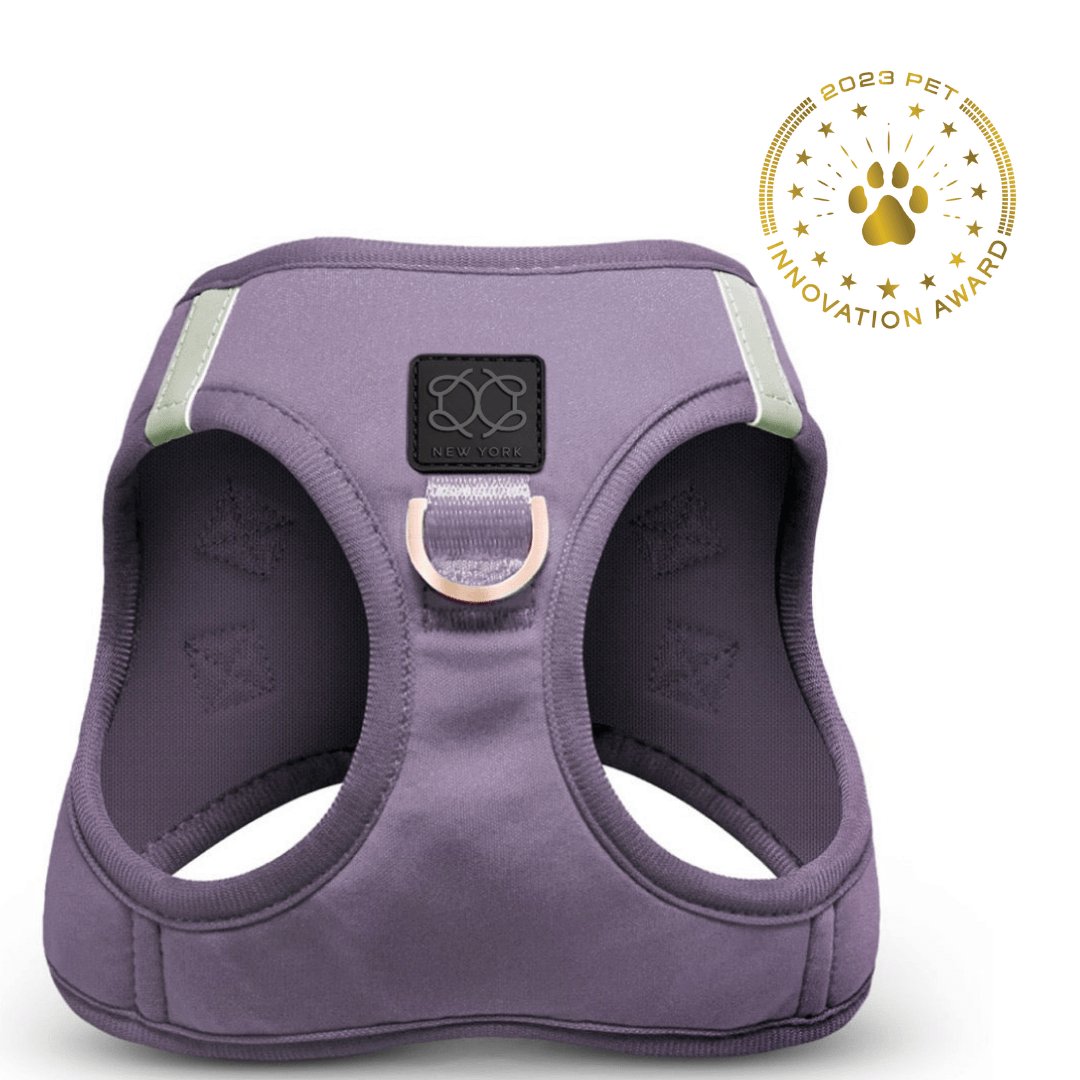 Purple dog harness with a visible brand logo on a white background