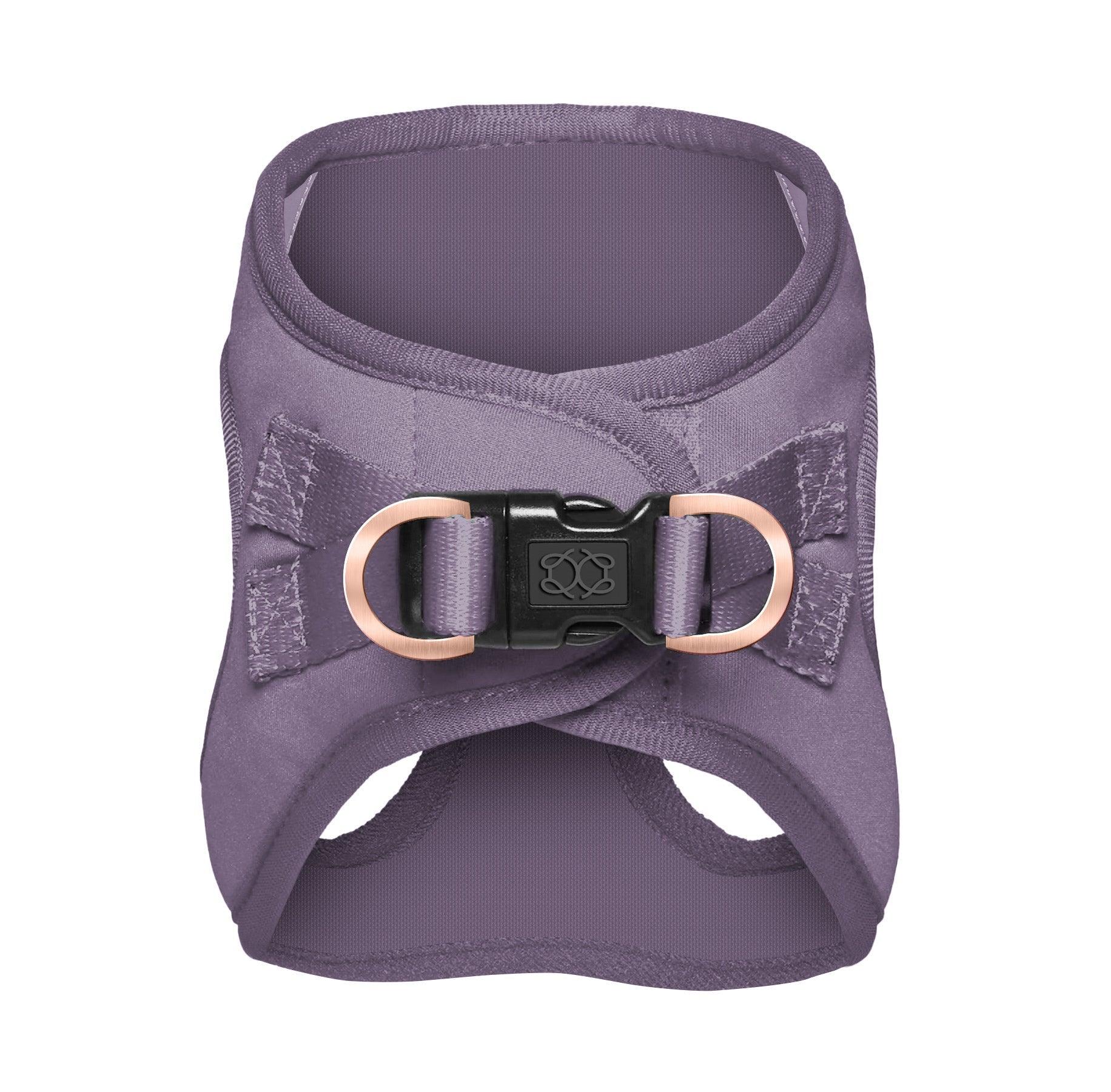 Purple dog harness with a black buckle on a white background for small and XS dogs