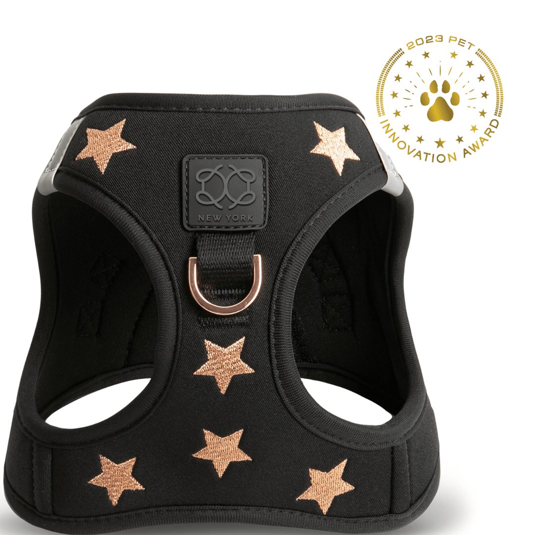 SoHo Rockstar No-Pull Dog Harness – Step-In Designer Fit
