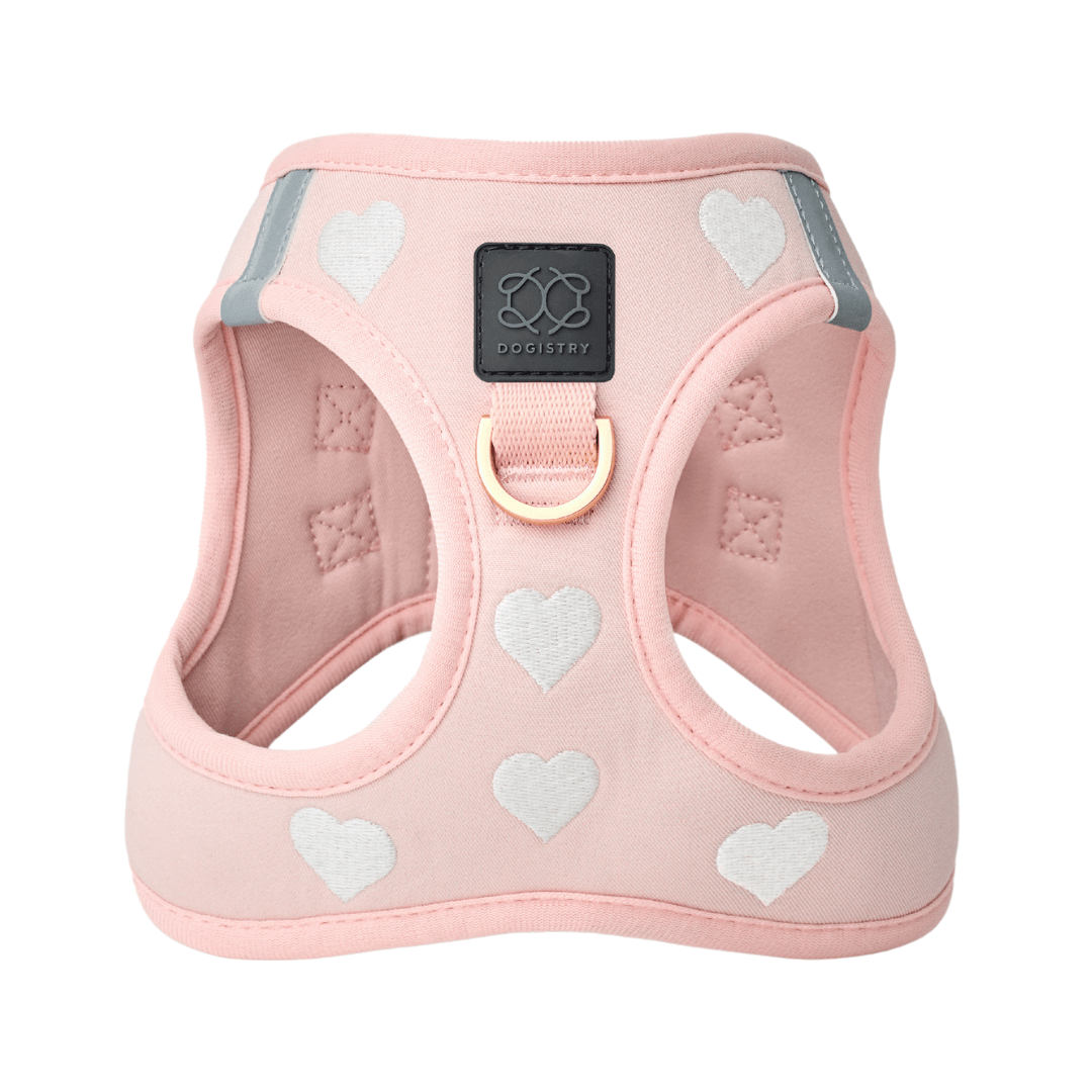 SoHo Small Dog Harness Sweetheart | No Pull Step-In Harness