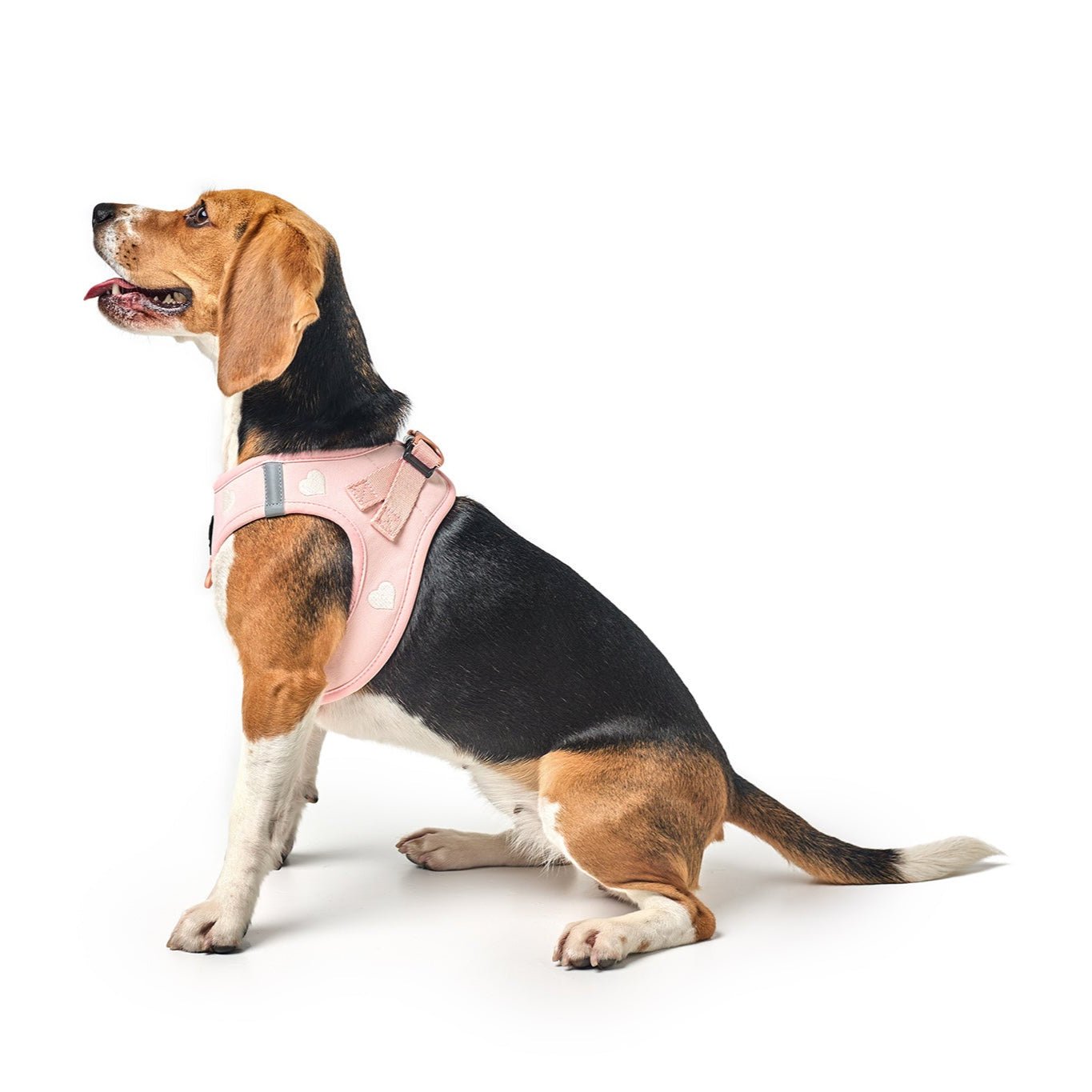 SoHo Small Dog Harness Sweetheart | No Pull Step-In Harness