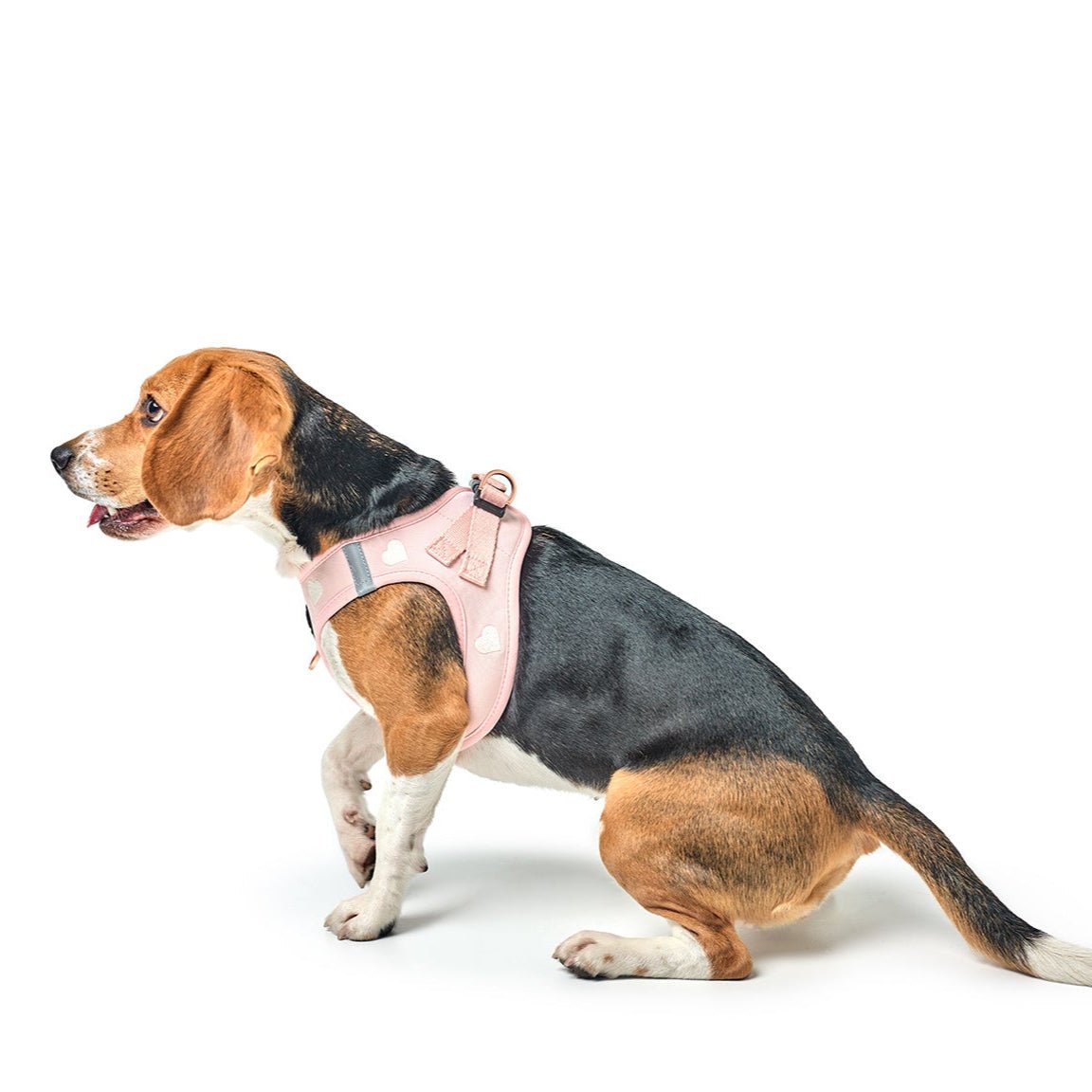 SoHo Small Dog Harness Sweetheart | No Pull Step-In Harness