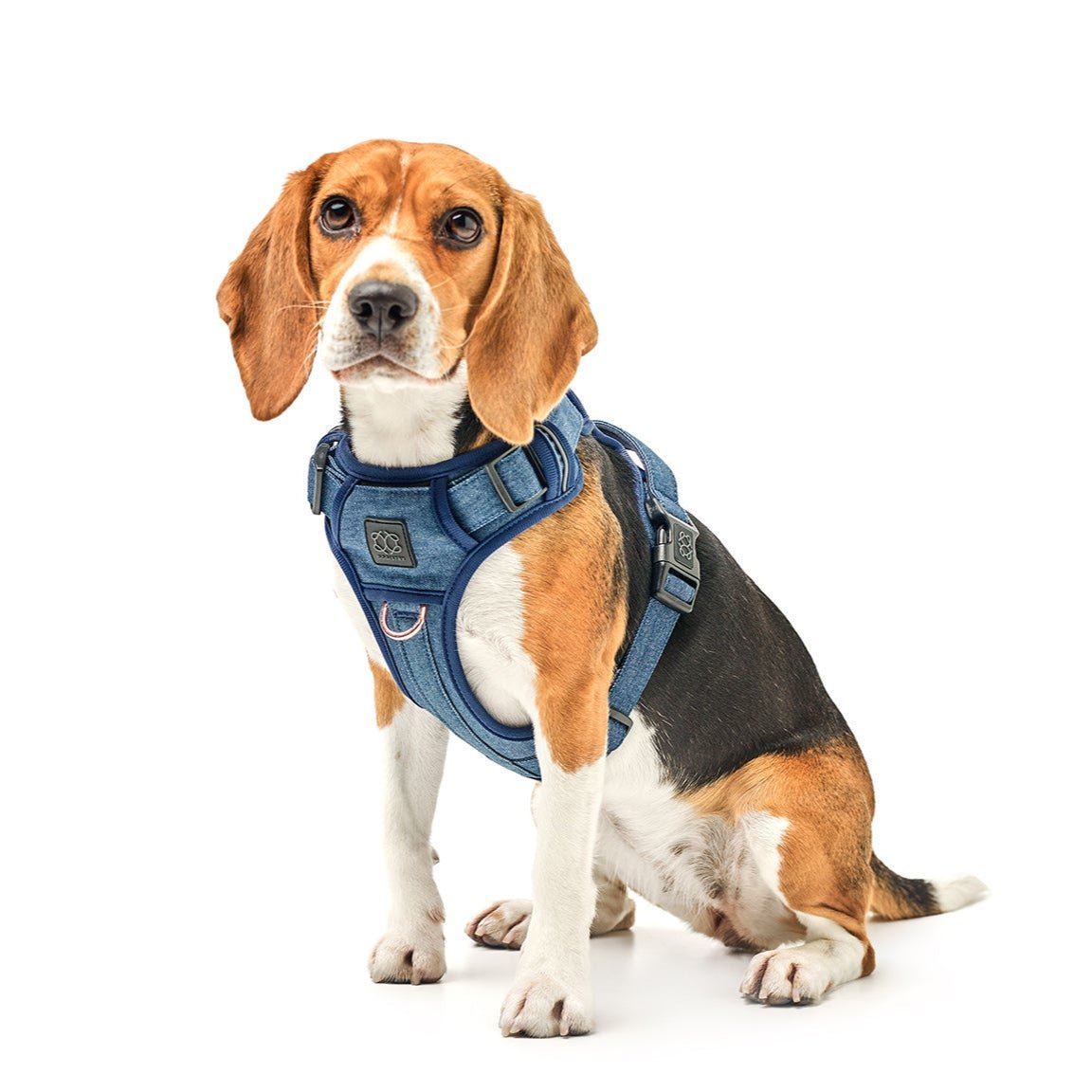 NoMad Adjustable Luxe Harness For Dogs 25-50 pounds