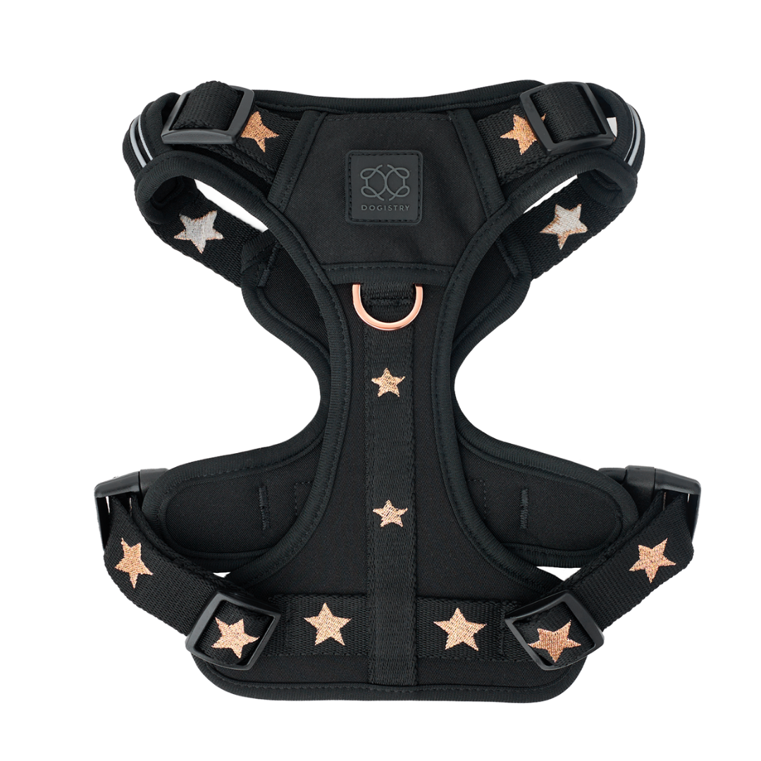 The NoMad Adjustable Luxe Dog Harness | Rockstar