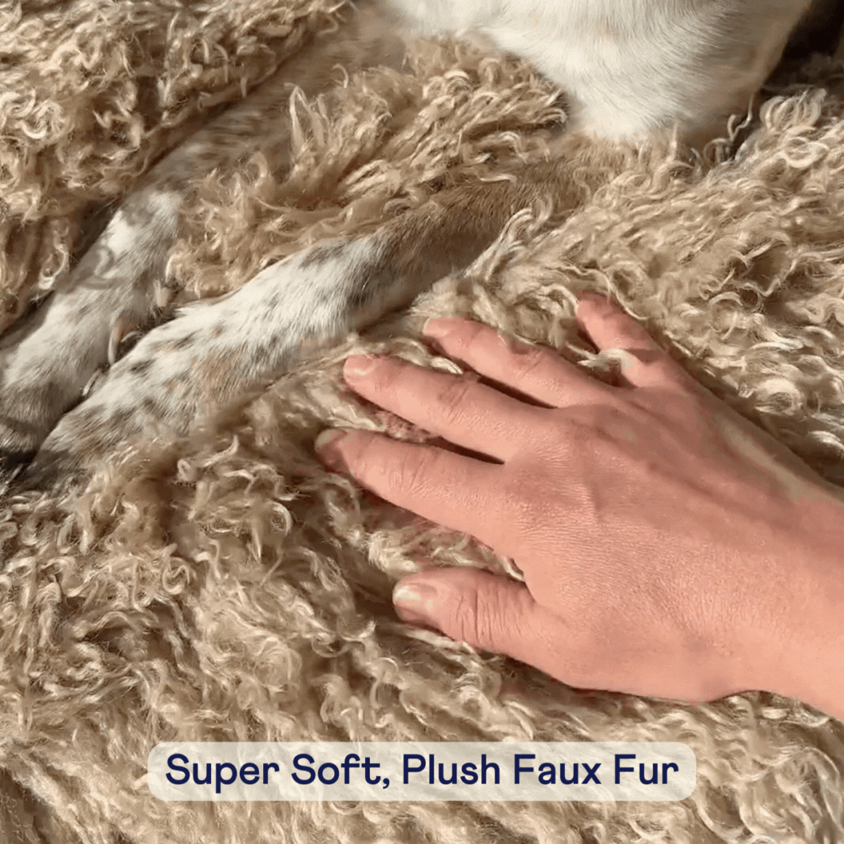 Hand on faux fur