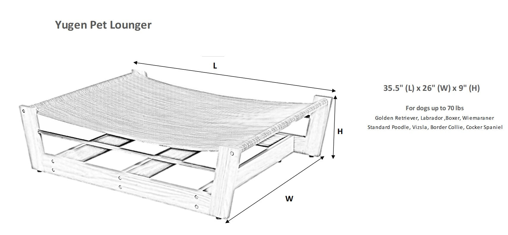 Bowsers pet lounger raised dog bed with mat
