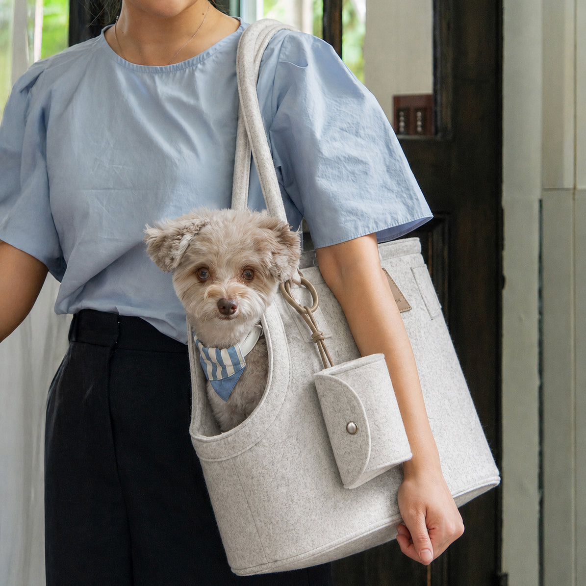 Small Dog Carrier for Dogs Up to 12 lbs