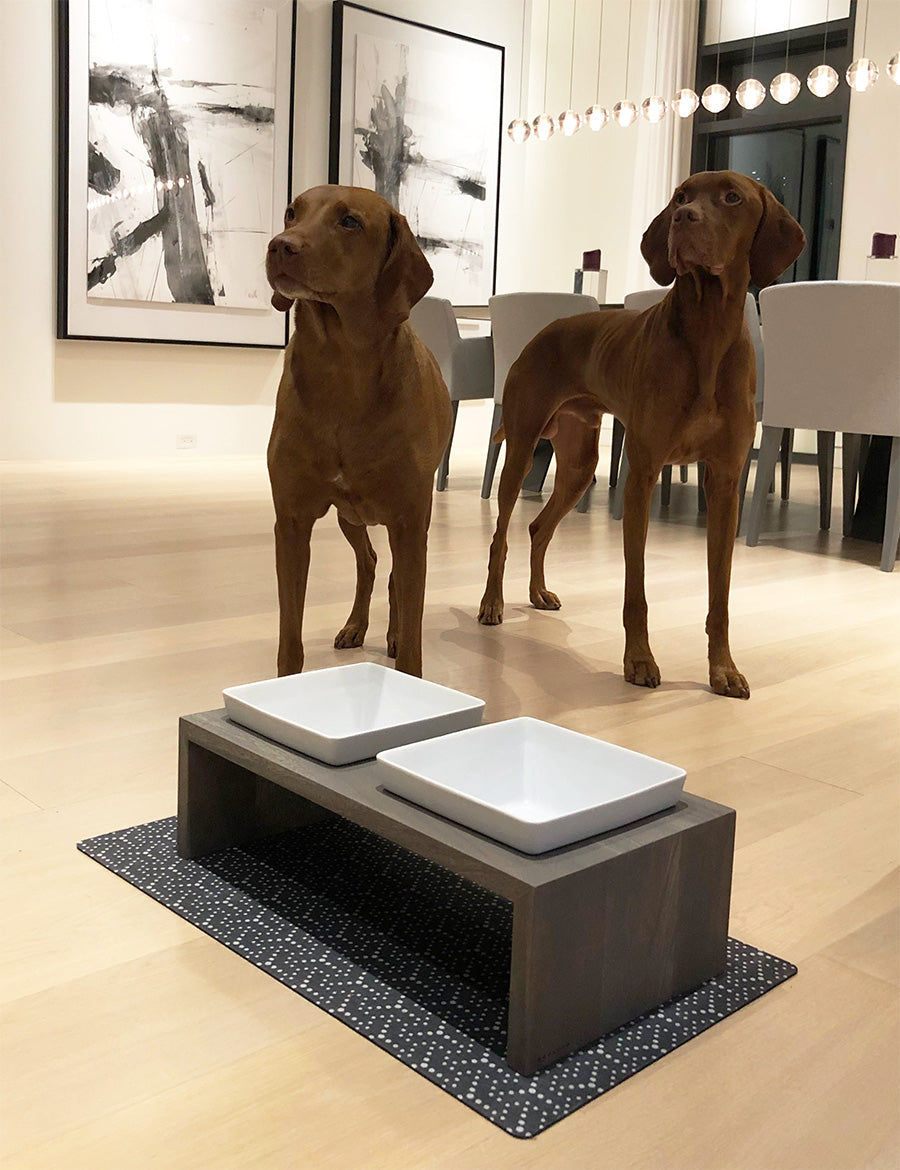 Vizsla dogs standing next to Bowsers Artisan pet feeder with wood stand and high quality porcelain dog bowls.
