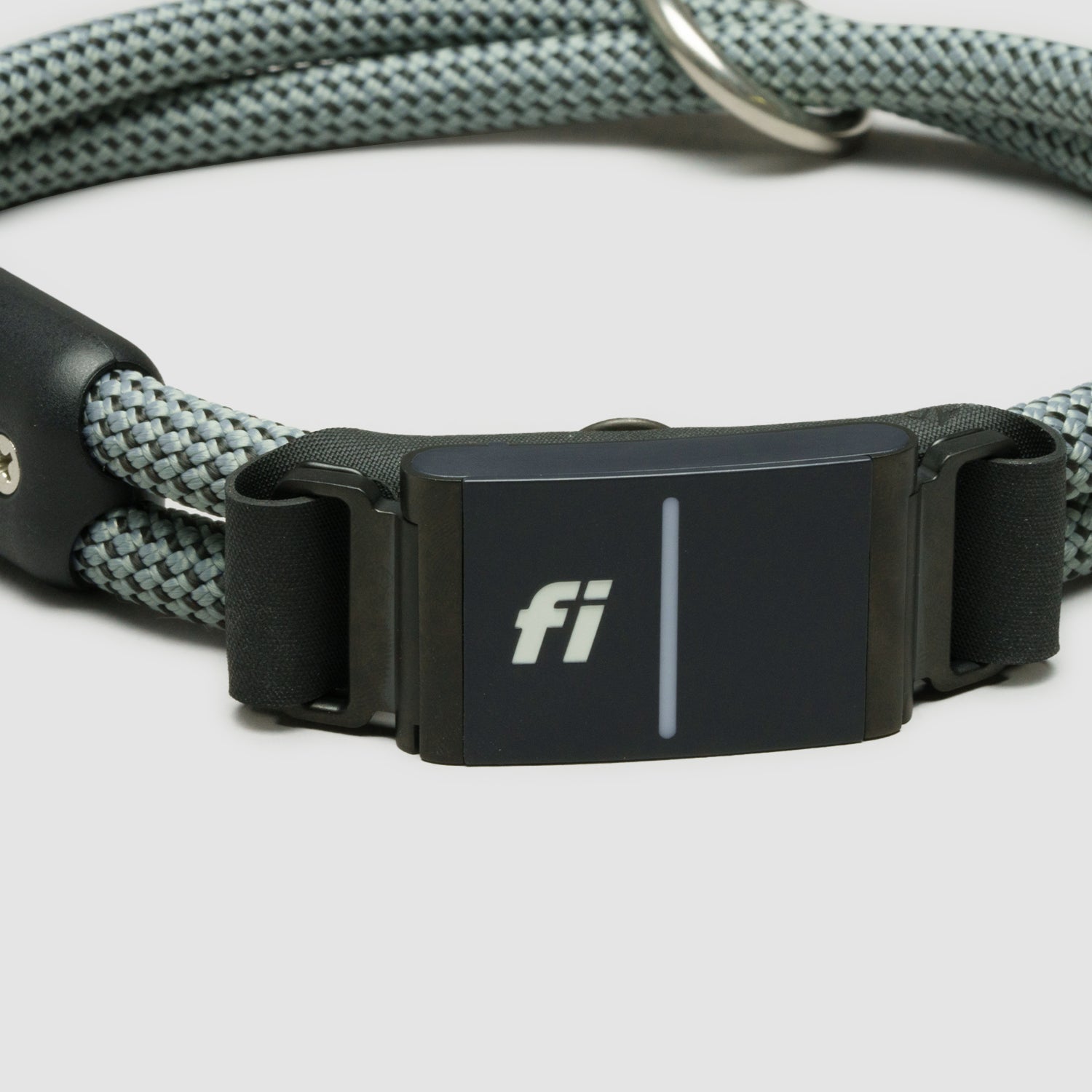 Fi Snap for Dog Collars