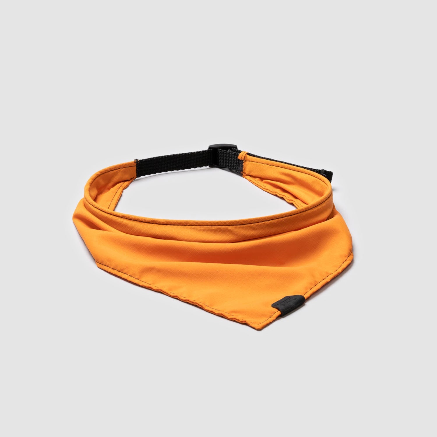 Lifetime Bandana For Dogs