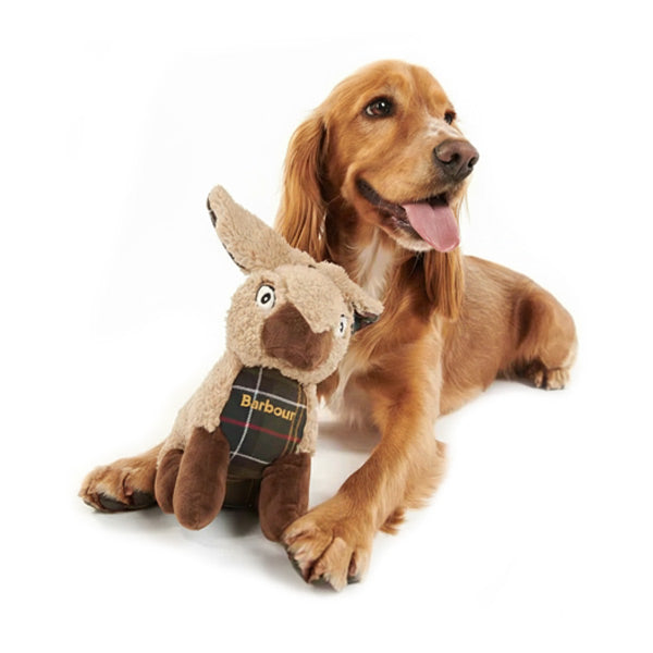 Cocker spaniel dog playing with a Barbour dog toy on a white background