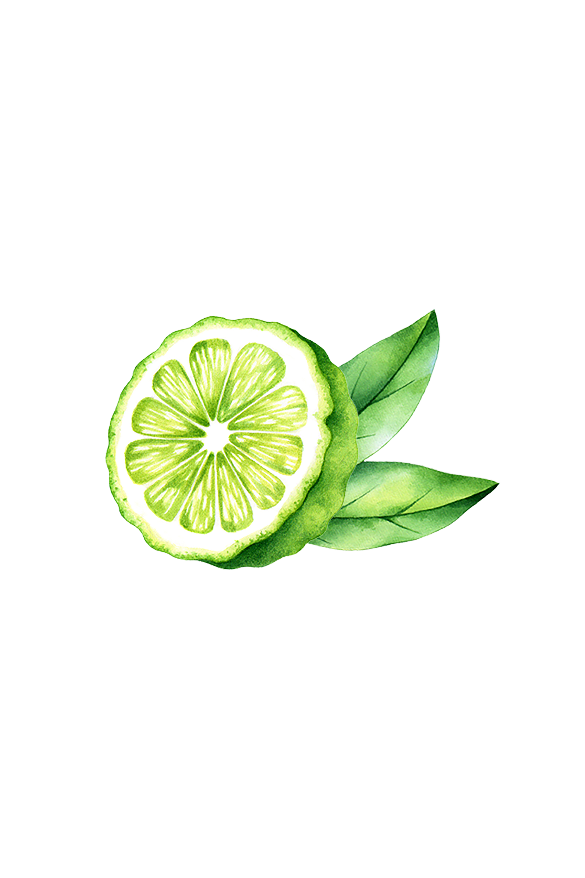 Bergamot Essential Oil