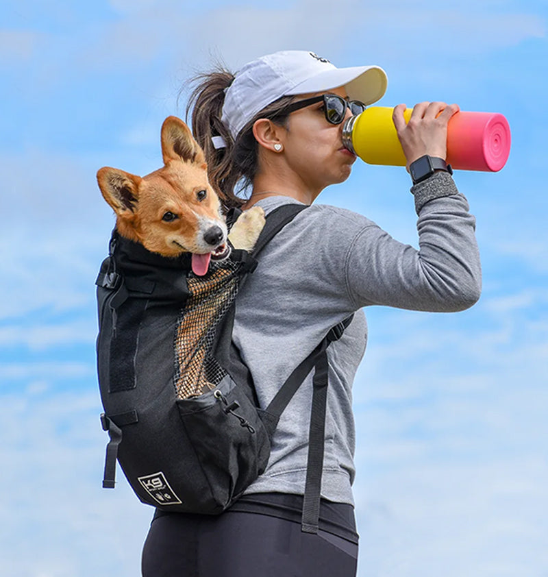 Hiker girl carrying her medium size dog on her back with K9 best dog carrier backpack.