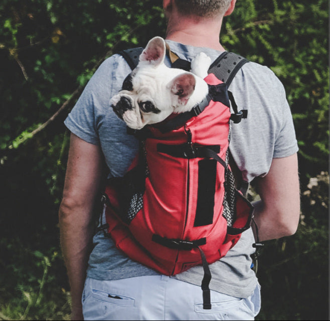 Trainer | Puppy & Small Dog Carrier Backpack