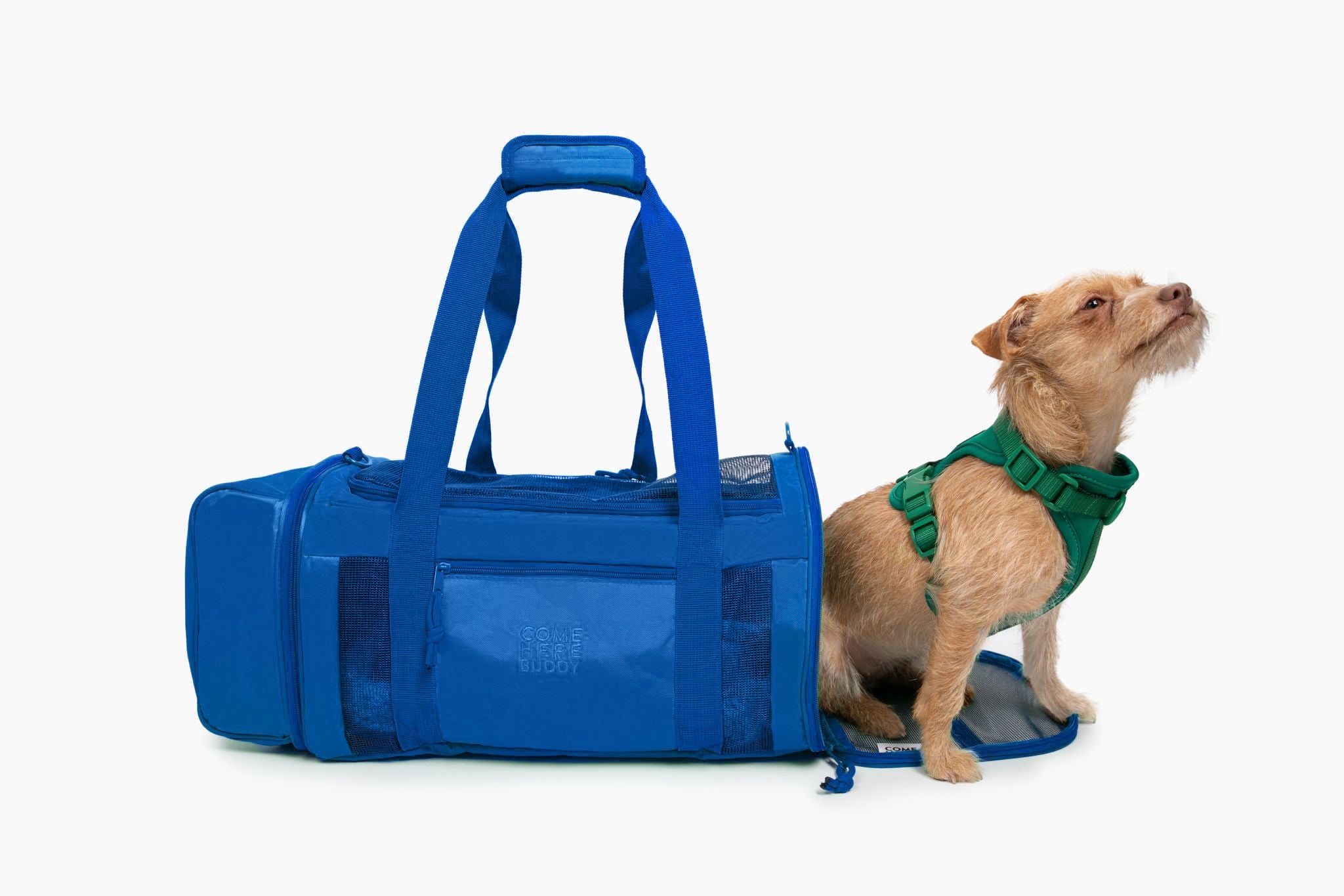 Travel Buddy Stylish Pet Carrier For Cats & Dogs