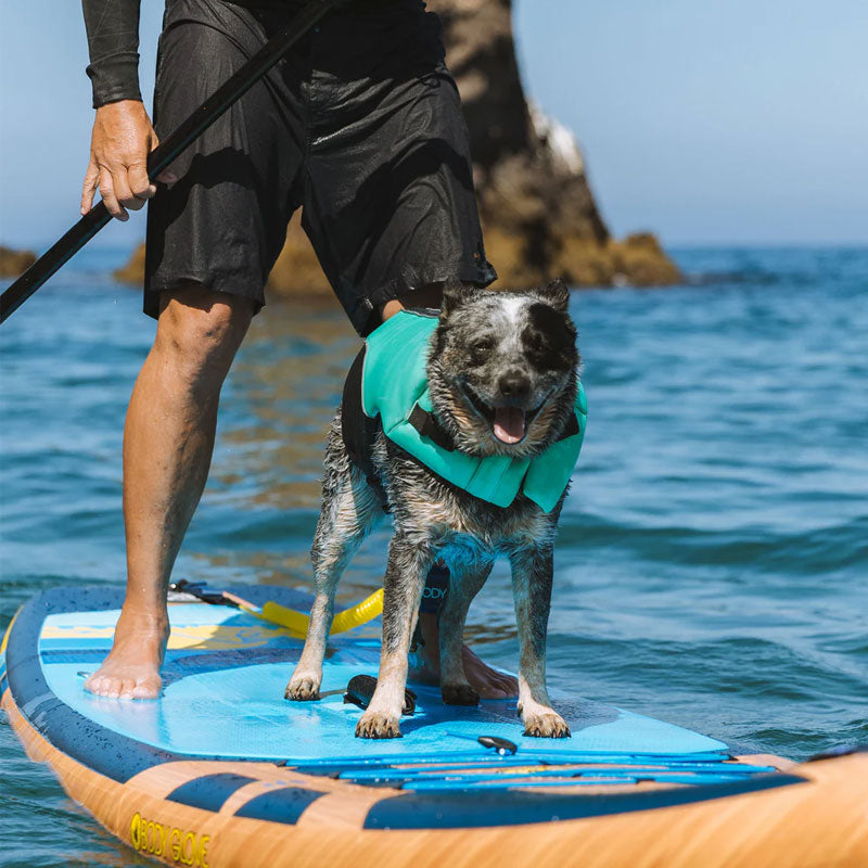 Australian shepherd on paddle board with a dog life jacket from Body Glove