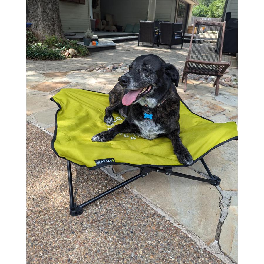 Large dog on a foldable dog cot for outdoors