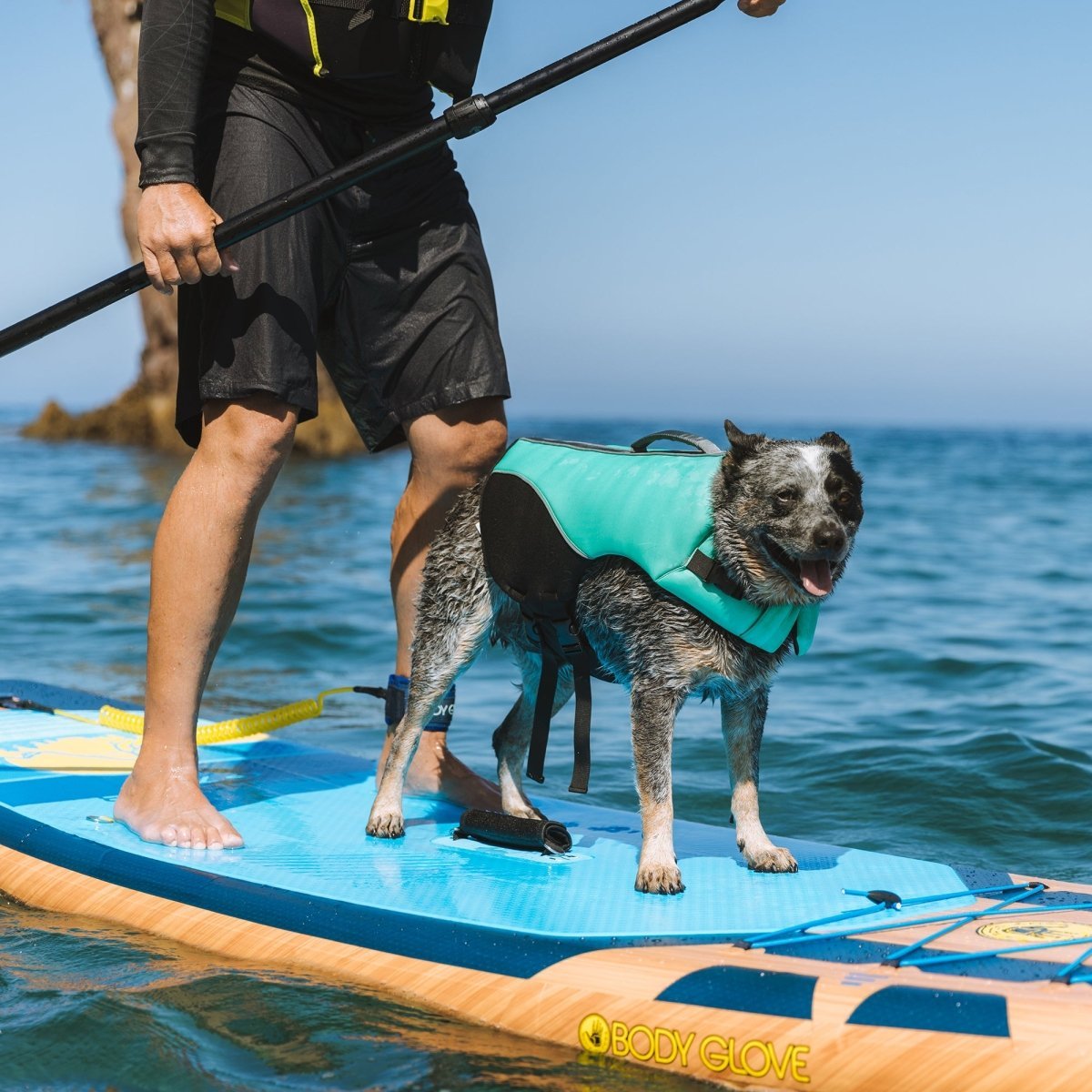 Person and dog on a paddleboard with a clear blue sky and ocean background