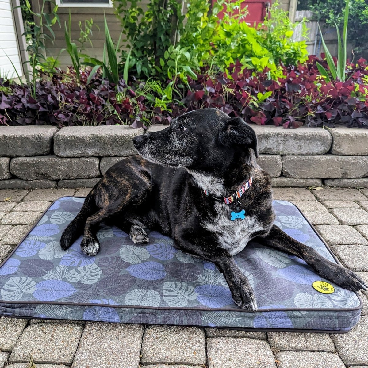 Body Glove Sun & Sand Tough Mat For Dogs