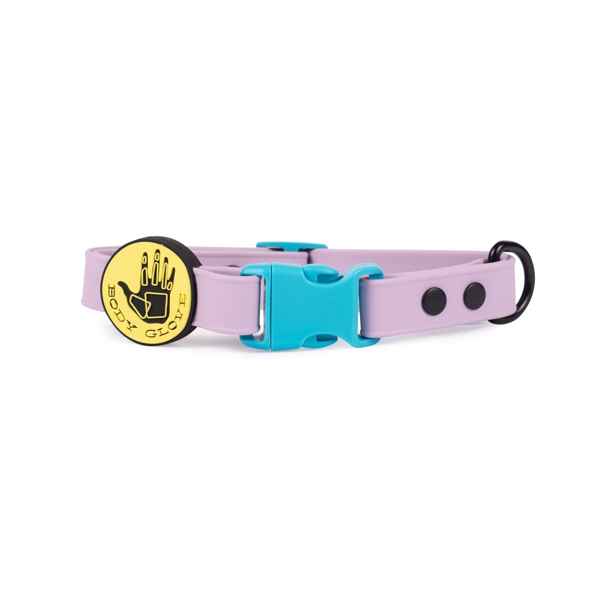 Body Glove dog collar with a purple band and blue buckle on a white background