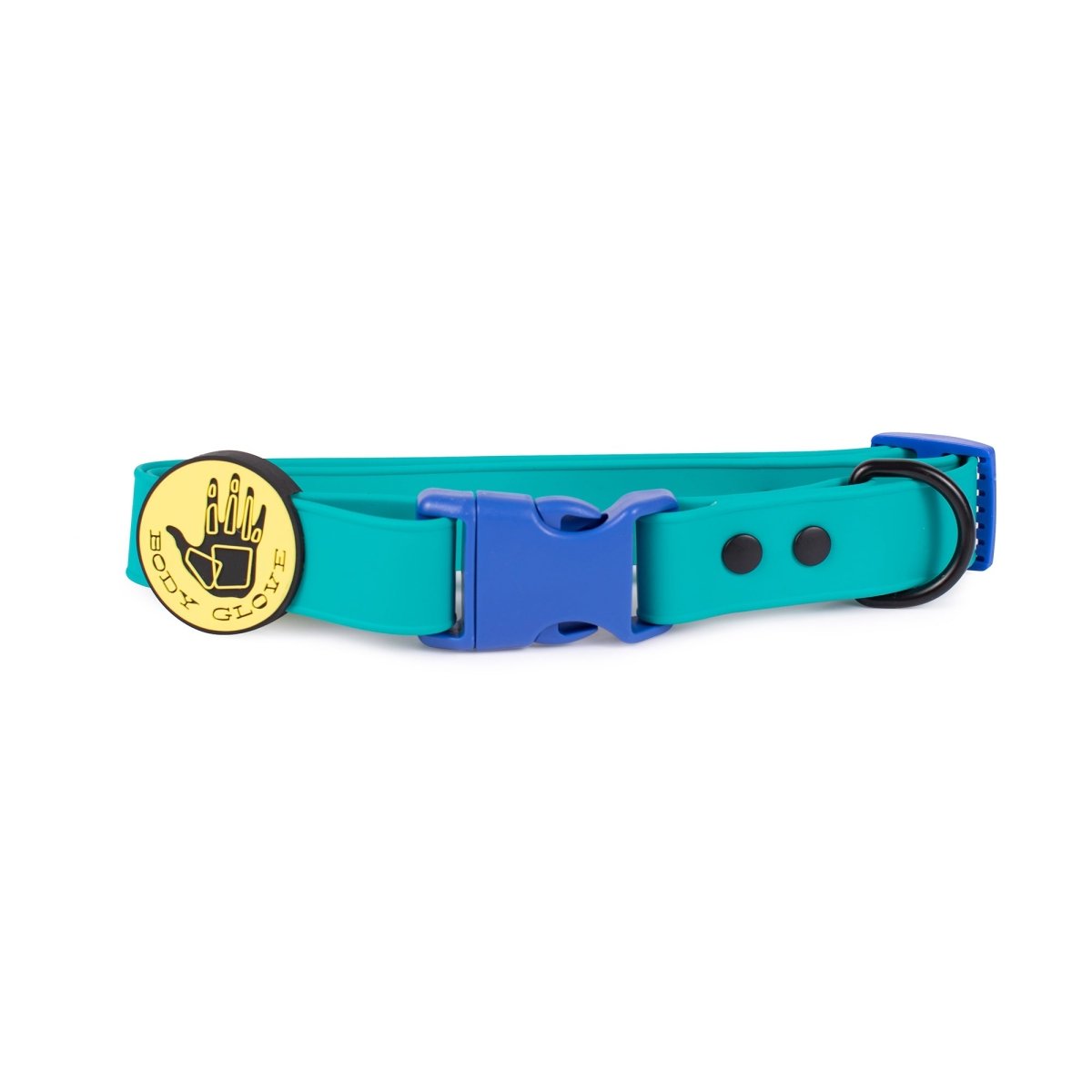 Teal dog collar with a blue Body Glove buckle and gold tag on a white background