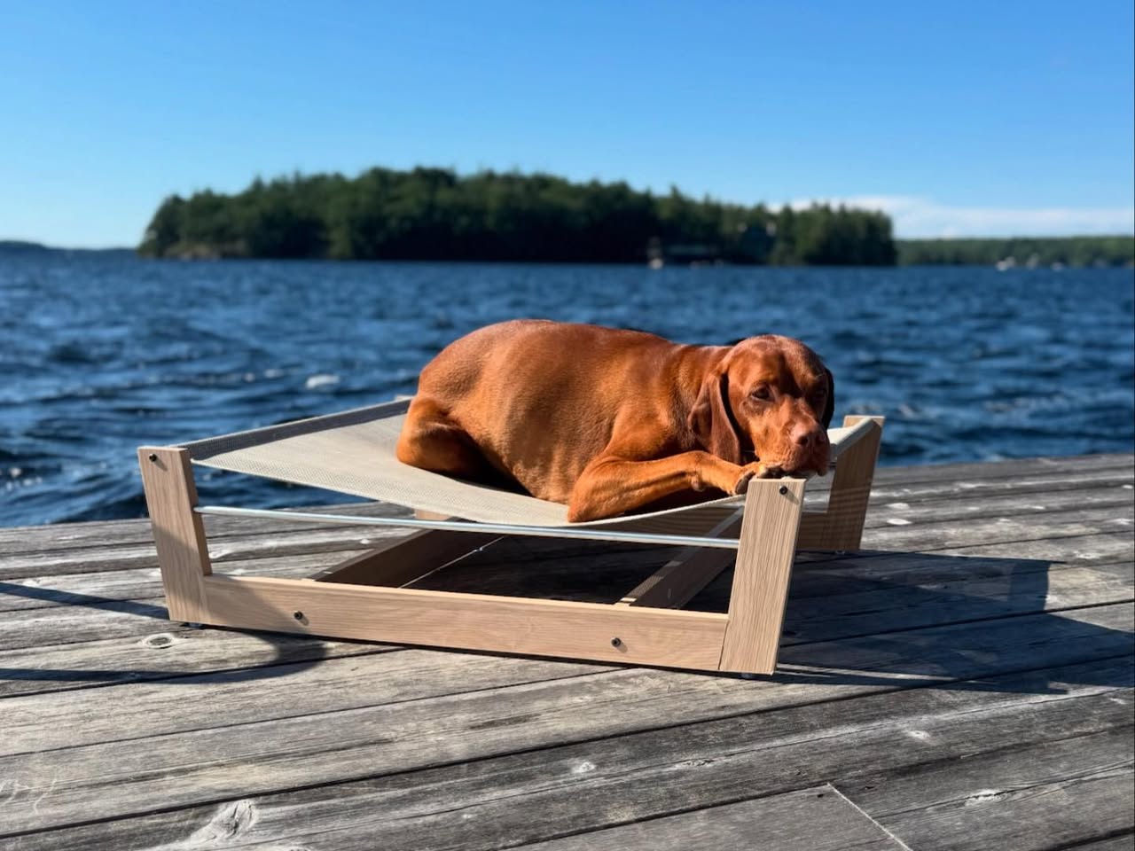Bowsers Yugen Raised Orthopedic Dog Bed for Large Dogs