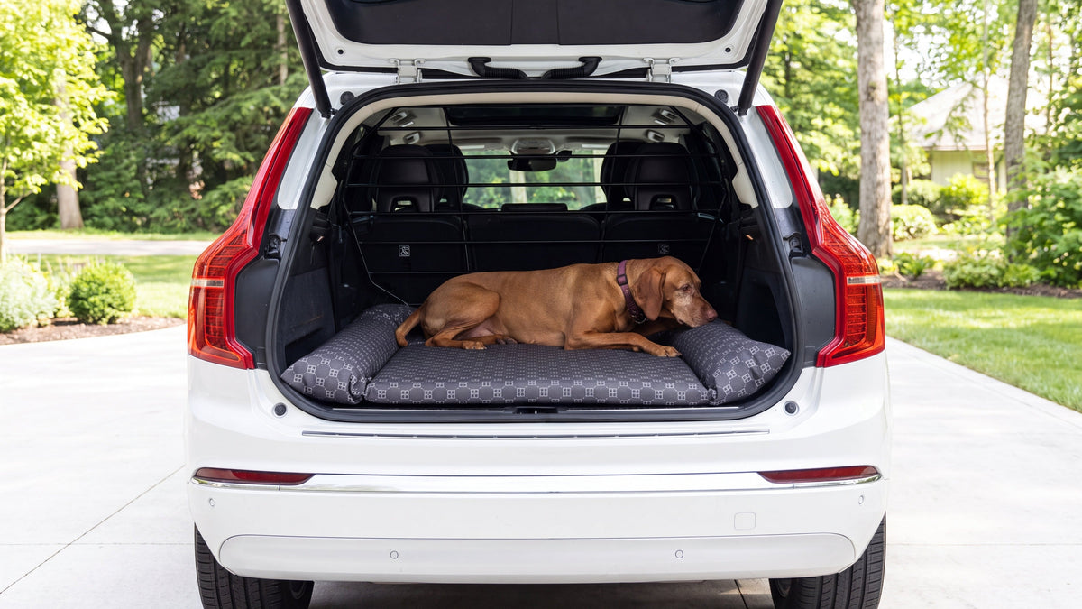 Dog resting on the Bowsers SUV Cargo Lounger with bolsters in the cargo area of an SUV