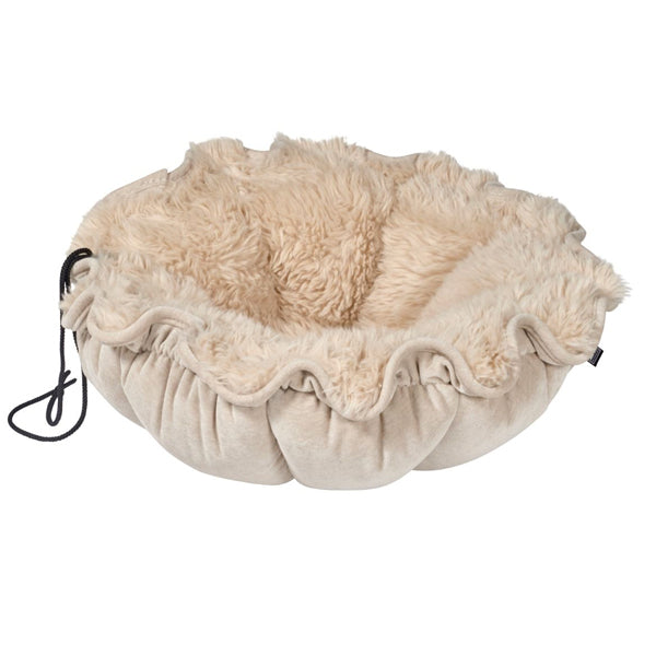 Bowsers Buttercup Best For Cats & Small Dogs