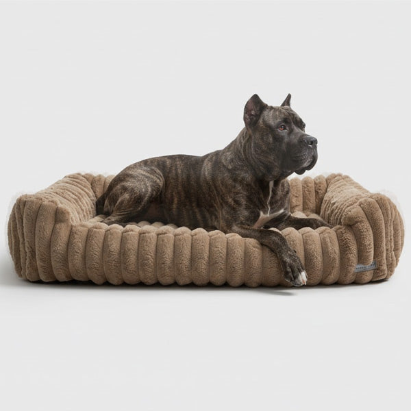 Dog lying on a beige pet bed against a white background