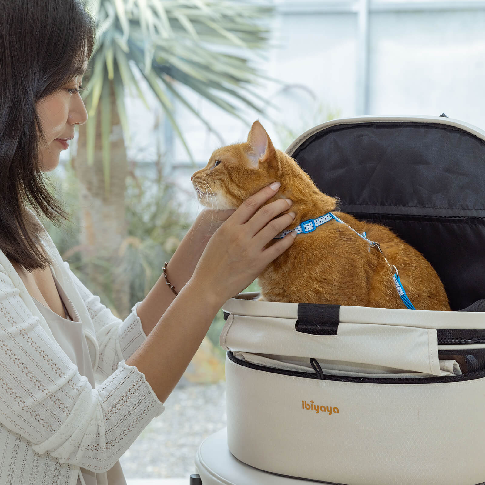 Woman petting an orange cat in a white pet carrier backpack