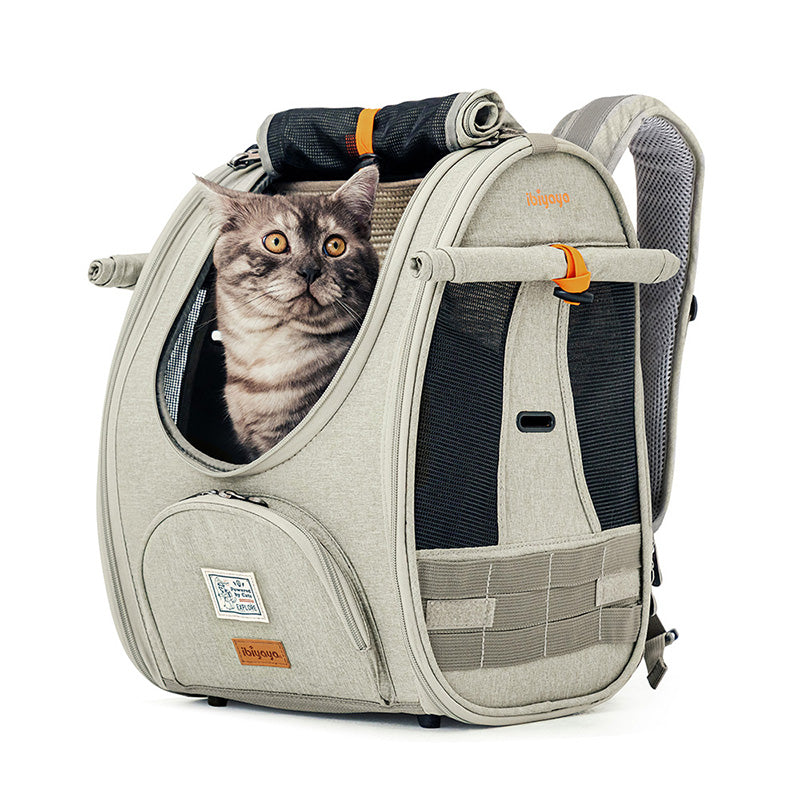 Cat sitting inside ibiyaya cat carrier backpack