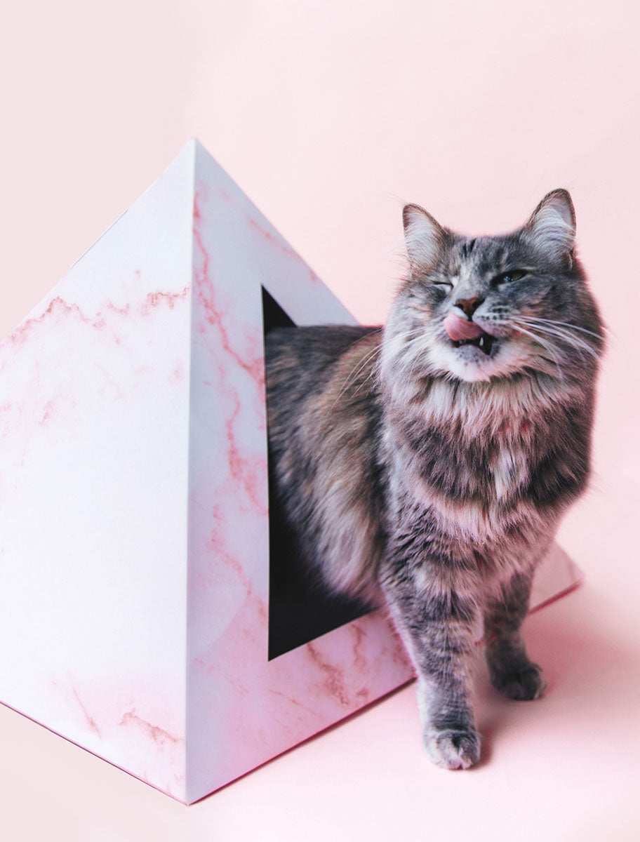 Cardboard Cat House | Rose Quartz