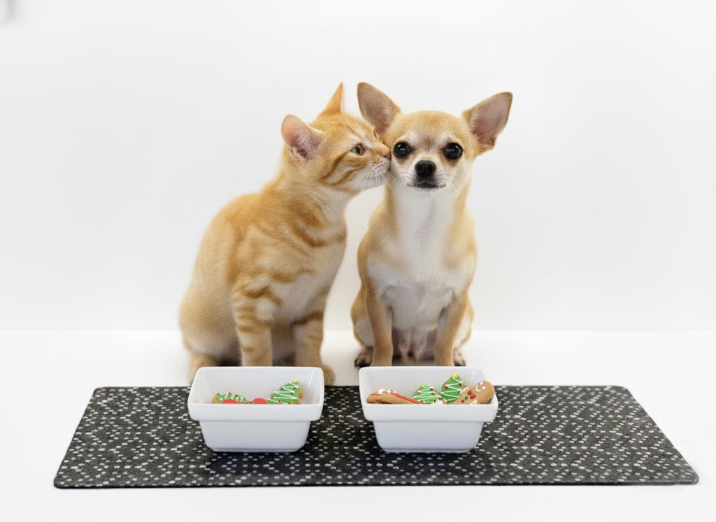 High Quality Ceramic Pet Bowl