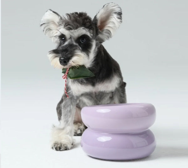 Raised ceramic bowl for cats and dogs