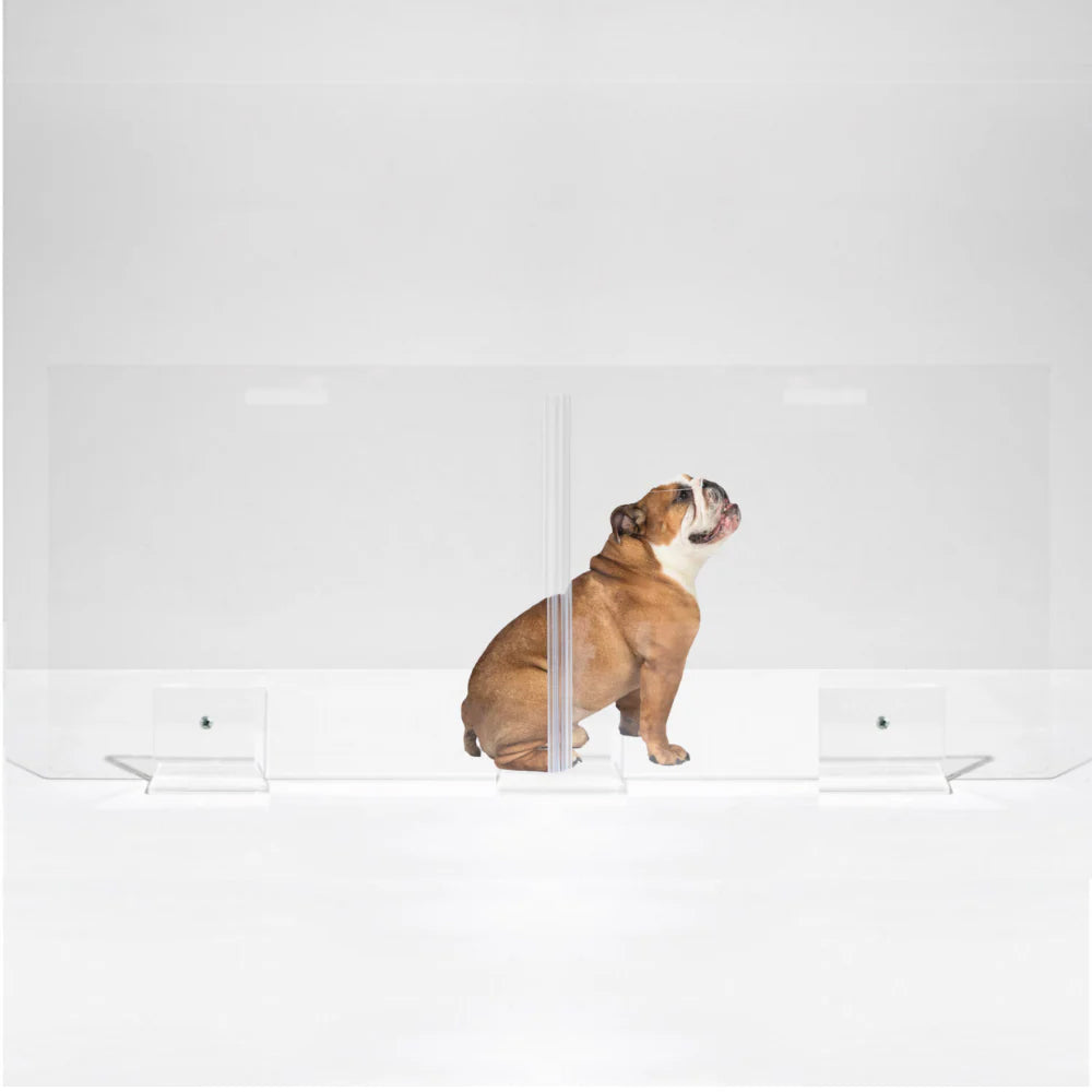 Hiddin Freestanding Acrylic Dog Gate Panel