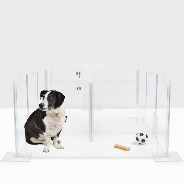 Dog sitting inside a playpen with clear panels