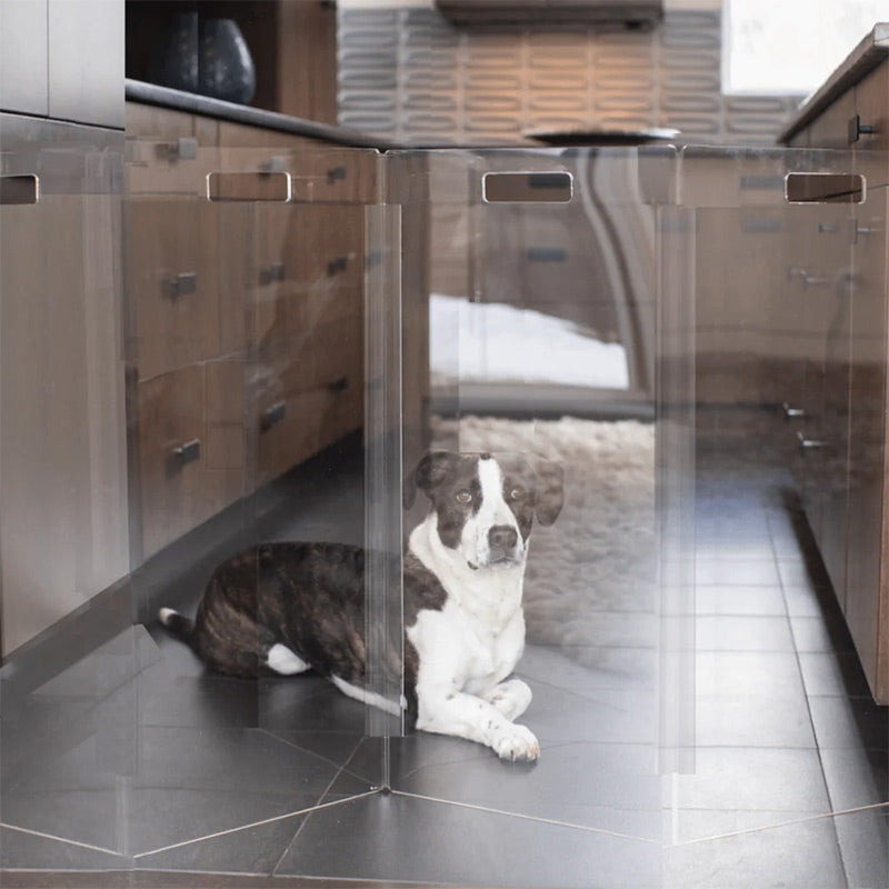 A dog lying behind clear stylish pet gate panels