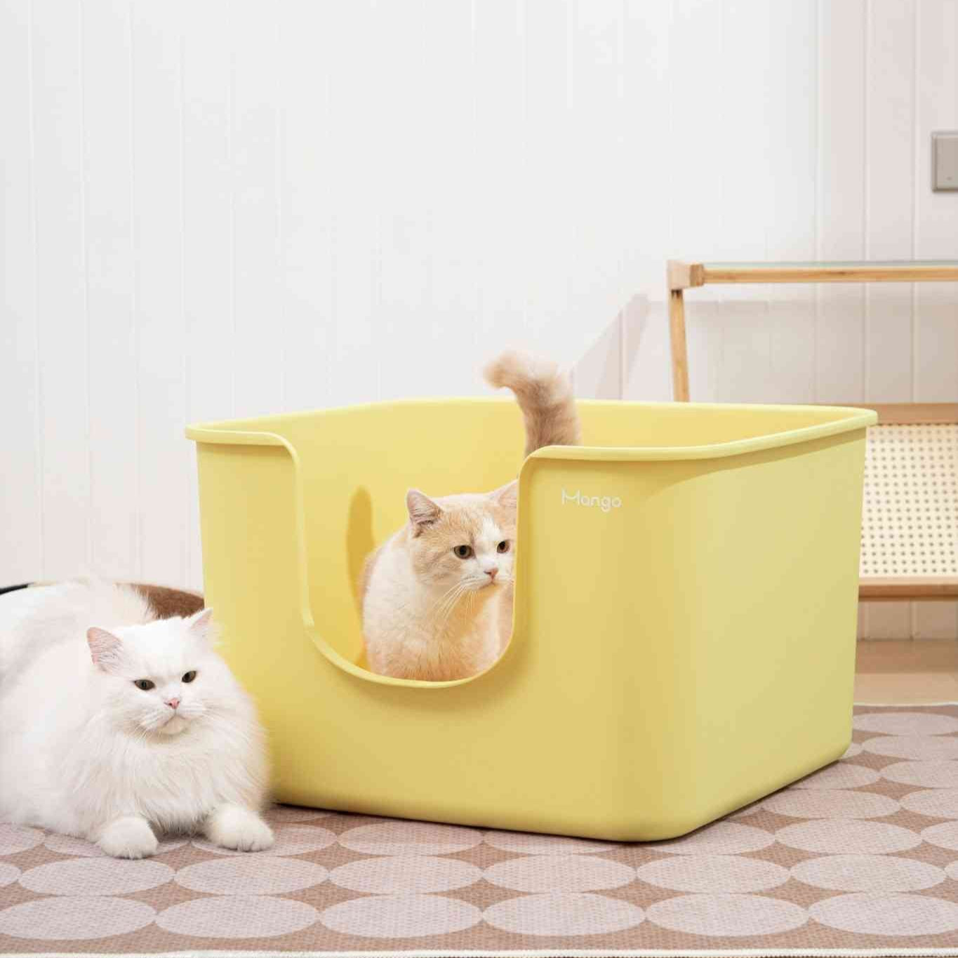 Two large cats inside a XXL cat litter box