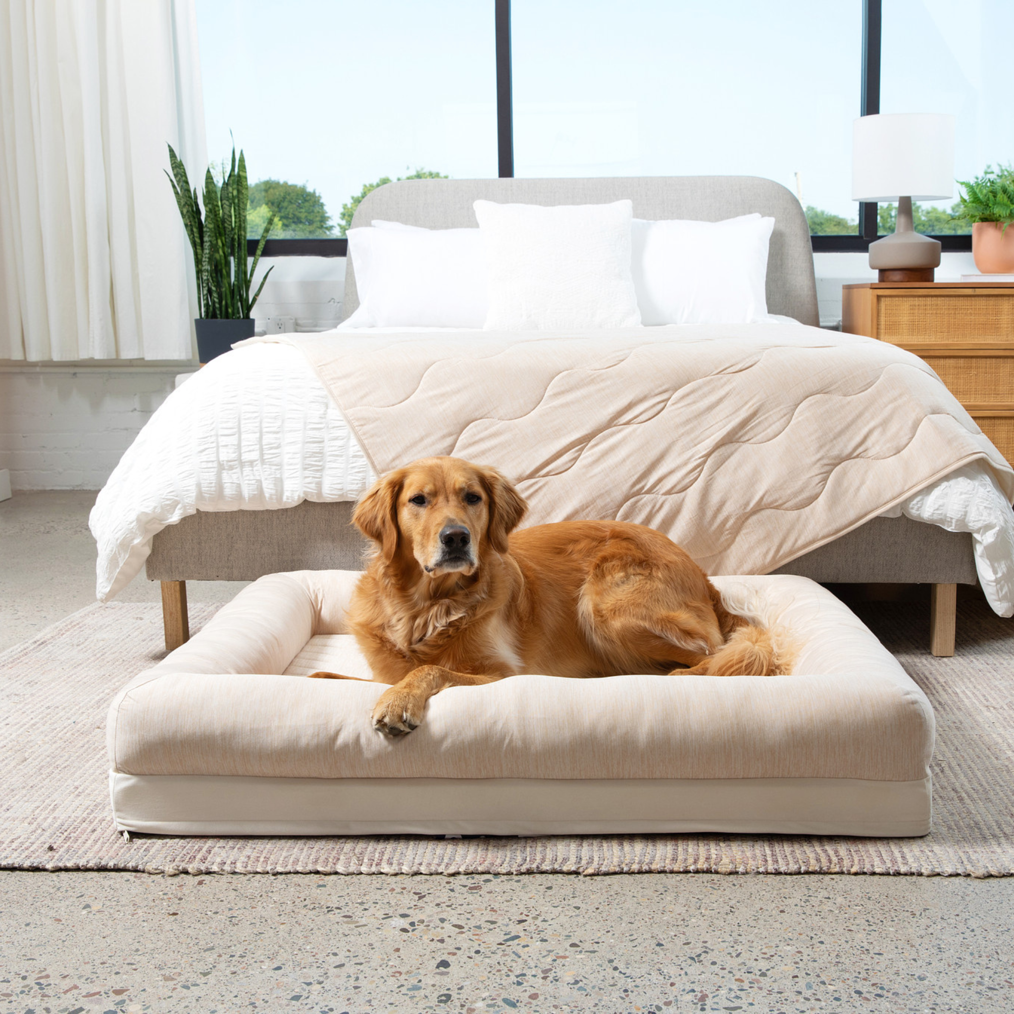 PupChill™ Cooling Dog Bed For Large Dogs