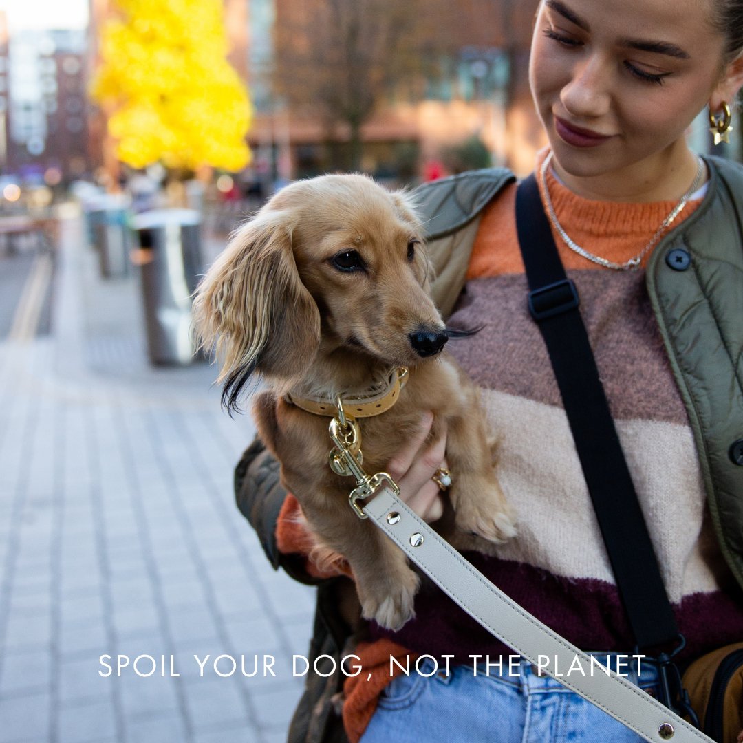 Dog Collar - Vegan Leather - Copenhagen