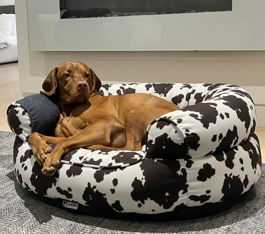 large dog sleeping on cowhide dog bed bowsers