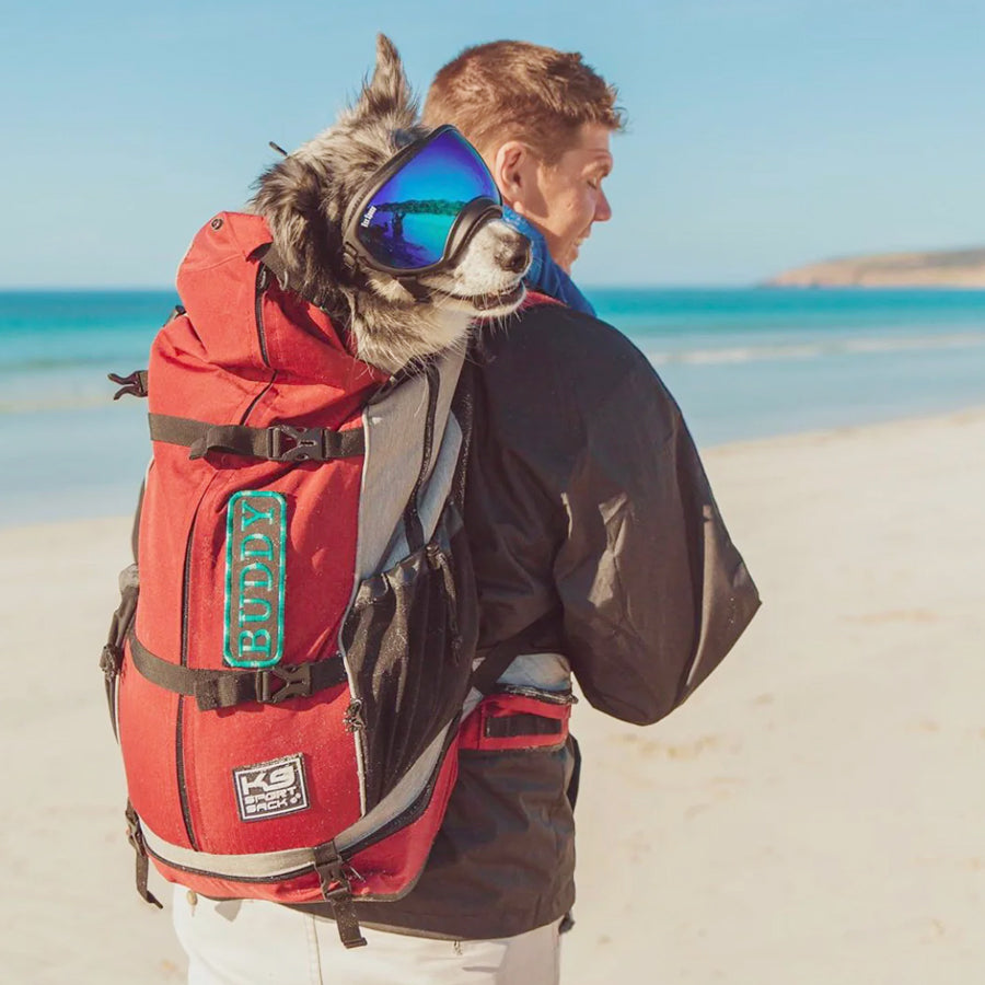 man carrying a large dog on K9 Sport backpack