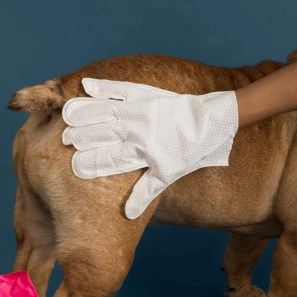 Person cleaning a dog fur with glove wipe by Dr. Paw brand
