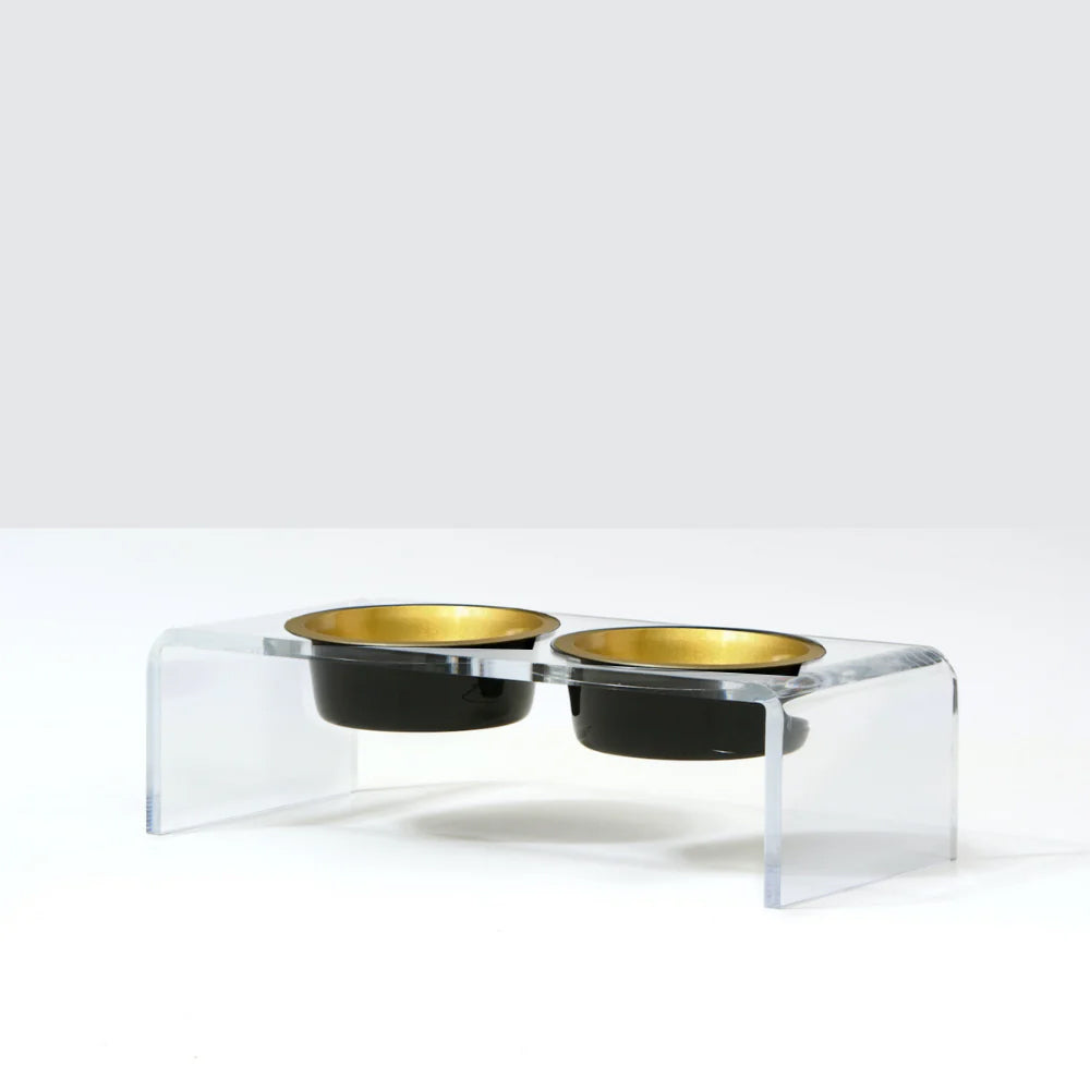 Glam dog bowls with acrylic stand for medium size puppies