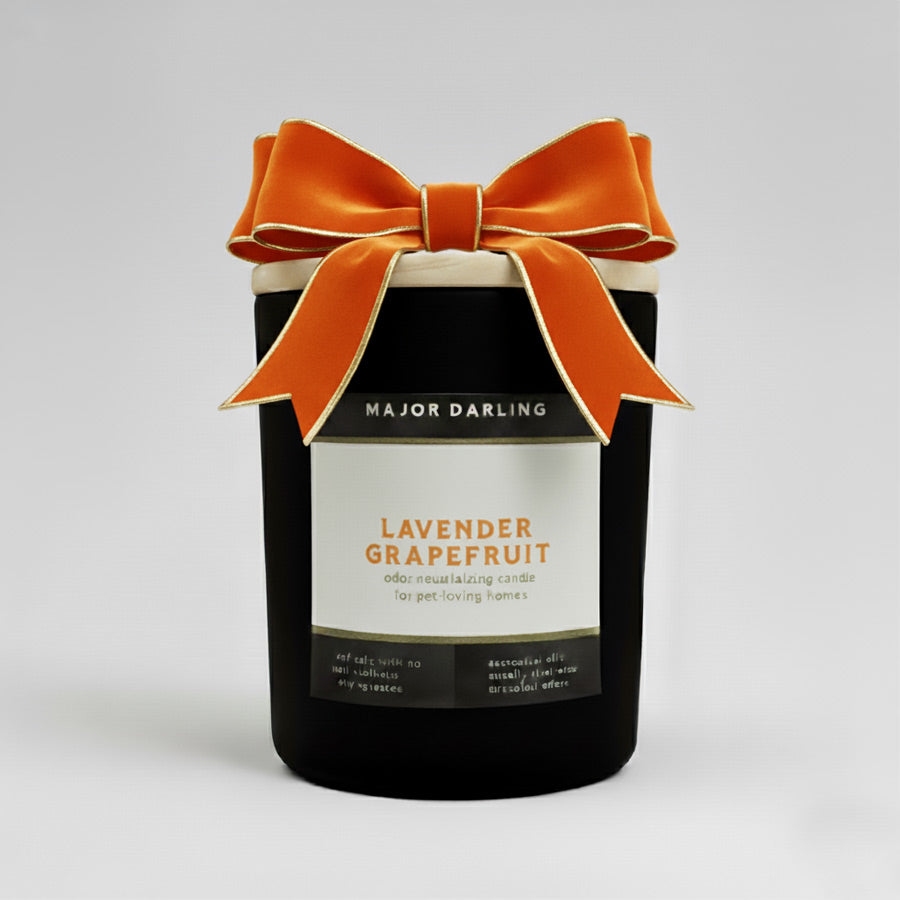 Candle labeled 'Major Darling' with 'Lavender Grapefruit' scent for dog odor