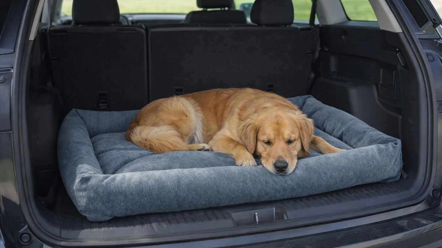 Large size dog golden retriever inside a SUV with a car seat bed Tango mat.